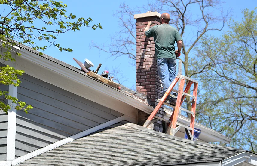 Chimney & Fireplace Inspections Services in Clinton, IA